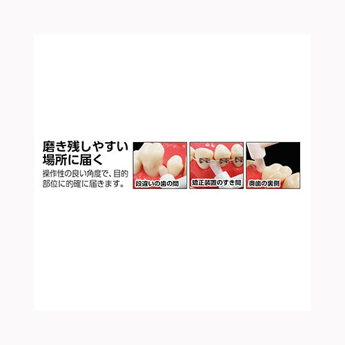 エビス ポイントブラシ　ふつう  オーラル 歯ブラシ メール便対応