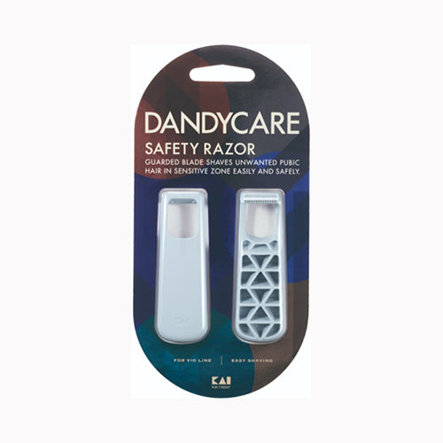 貝印 ＤＡＮＤＹＣＡＲＥ（ダンディケア）　２本入　０００ＧＡ００７９  カミソリ 男性用  メール便対応