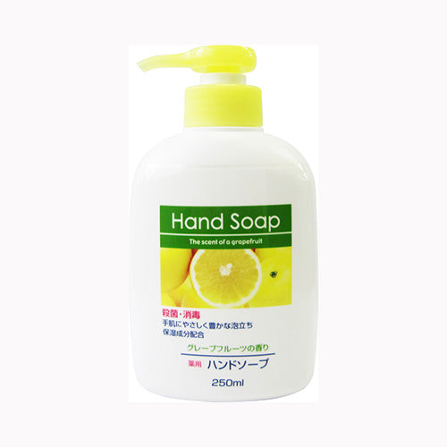 第一石鹸 第一石鹸薬用ハンドソープ本体２５０ＭＬ スキンケア 手洗い用
