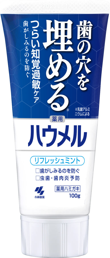 小林製薬 ハウメル オーラル 歯磨き 歯周病・知覚過敏用歯磨き粉 オーラルケア 歯磨き粉