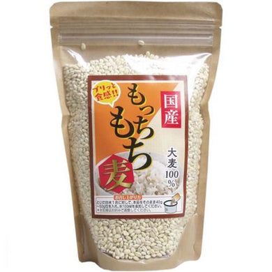 【送料無料】ディジャパン 国産 もっちもち麦 500gJANCODE4562219690893