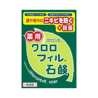 【送料無料】黒龍堂 薬用 クロロフィル石鹸 復刻版 85gJANCODE4901477101091
