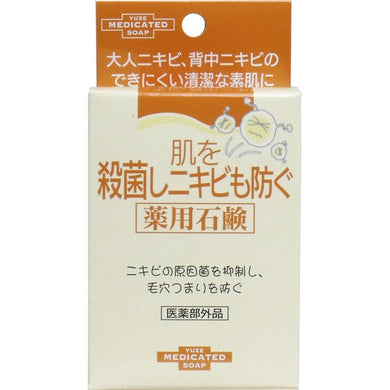 【送料無料】肌を殺菌しニキビも防ぐ薬用石鹸 110gJANCODE4903075431006