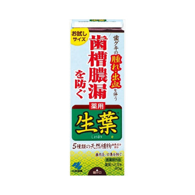 【送料無料】生葉お試しサイズ40GJANCODE4987072030073